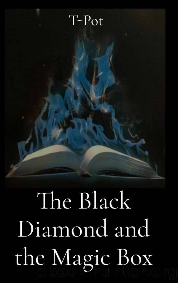 The Black Diamond and the Magic Box by T-Pot