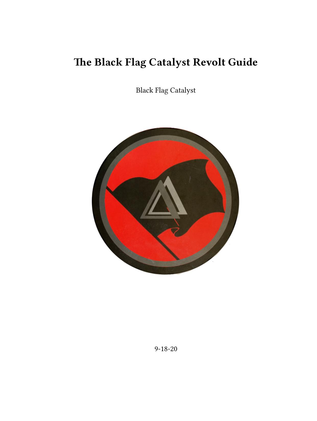The Black Flag Catalyst Revolt Guide by Black Flag Catalyst