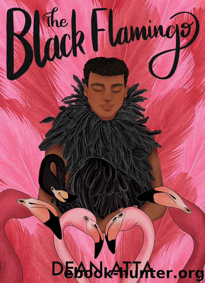The Black Flamingo by Dean Atta