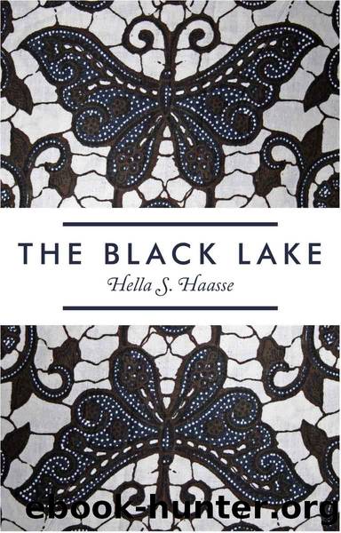 The Black Lake by Hella S. Haasse