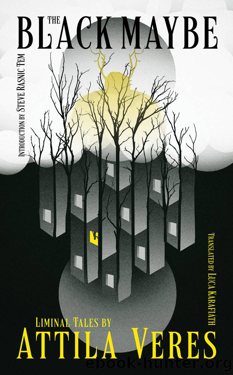 The Black Maybe by Attila Veres