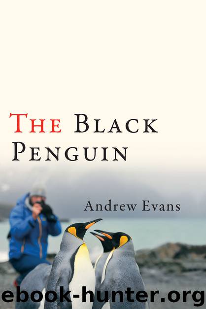 The Black Penguin by Andrew Evans