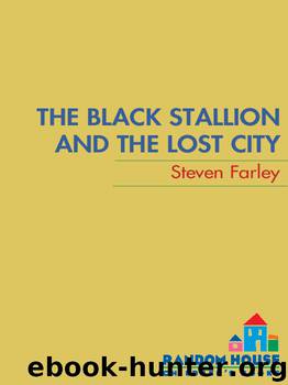 The Black Stallion and the Lost City by Steve Farley