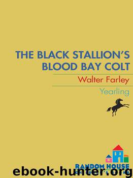 The Black Stallion's Blood Bay Colt by Walter Farley