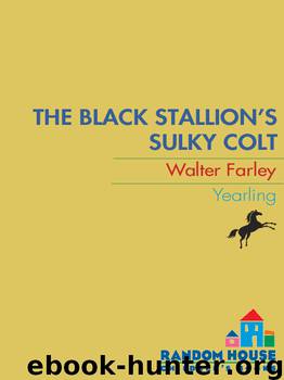 The Black Stallion's Sulky Colt by Walter Farley