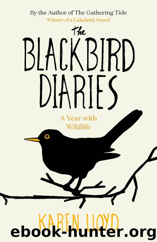 The Blackbird Diaries by Karen Lloyd