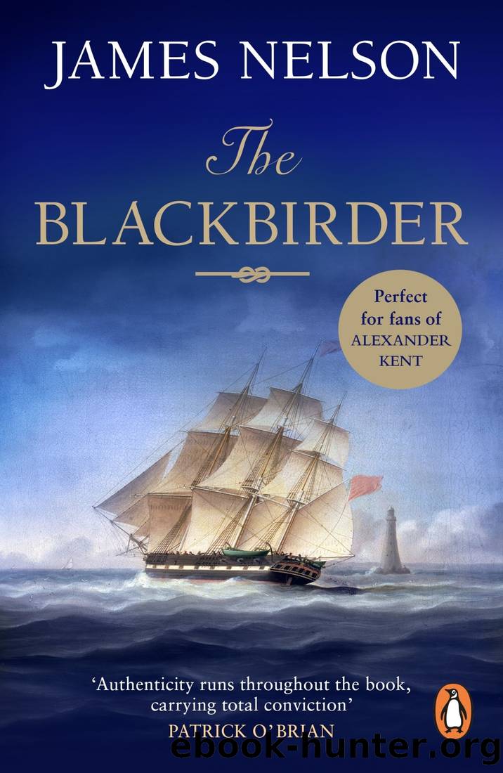 The Blackbirder by James L. Nelson