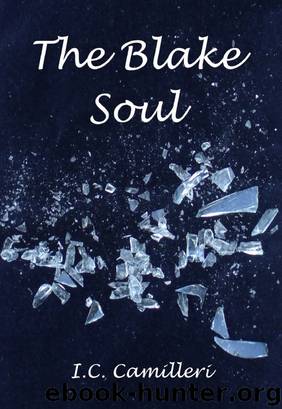 The Blake Soul by I C Camilleri