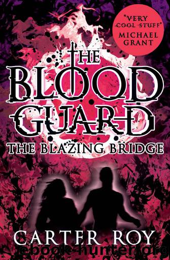 The Blazing Bridge by Carter Roy