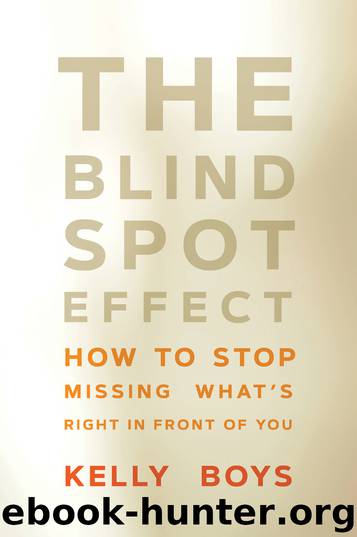 The Blind Spot Effect by Kelly Boys