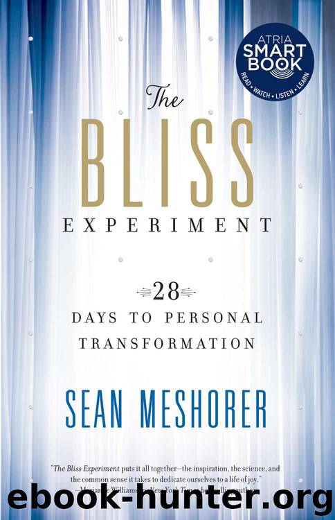 The Bliss Experiment: 28 Days to Personal Transformation by Meshorer Sean