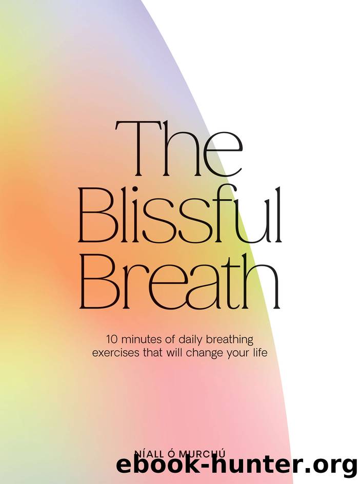 The Blissful Breath by Níall Ó Murchú