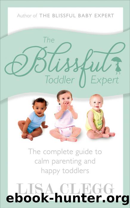 The Blissful Toddler Expert: the complete guide to calm parenting and happy toddlers by Lisa Clegg