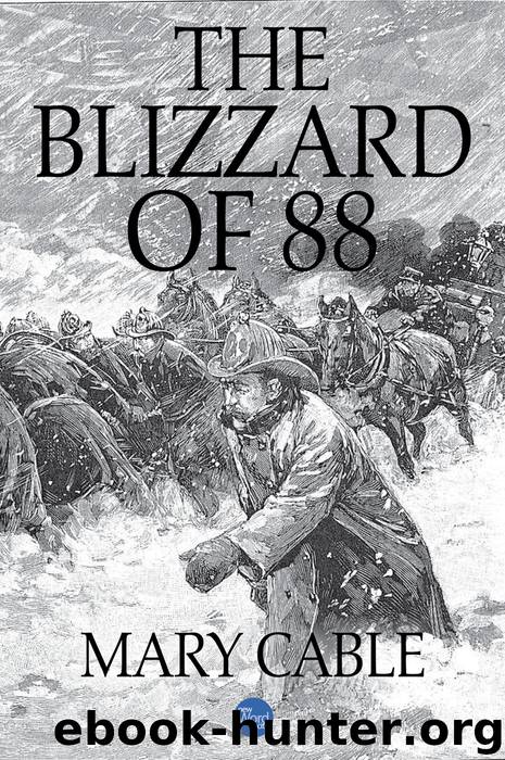 The Blizzard of 88 by Mary Cable