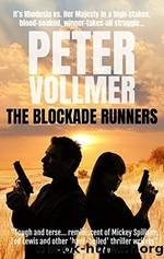The Blockade Runners by Peter Vollmer