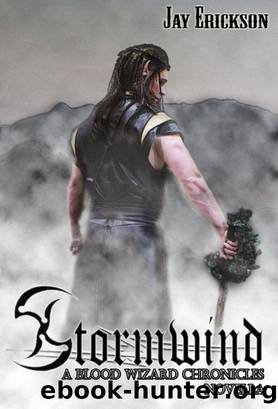 The Blood Wizard Chronicles Novella by Jay Erickson