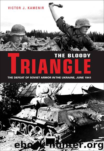 The Bloody Triangle by Victor Kamenir
