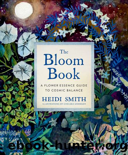 The Bloom Book by Heidi Smith