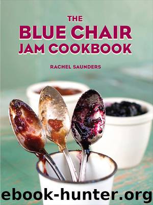 The Blue Chair Jam Cookbook by Rachel Saunders
