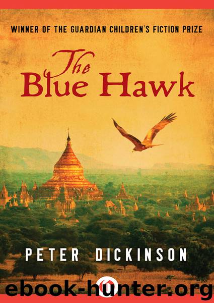 The Blue Hawk by Peter Dickinson