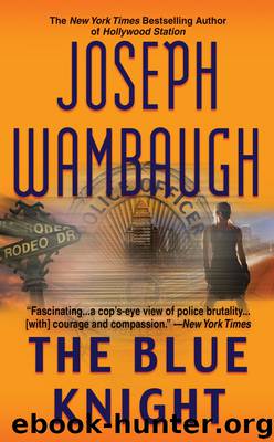 The Blue Knight by Joseph Wambaugh
