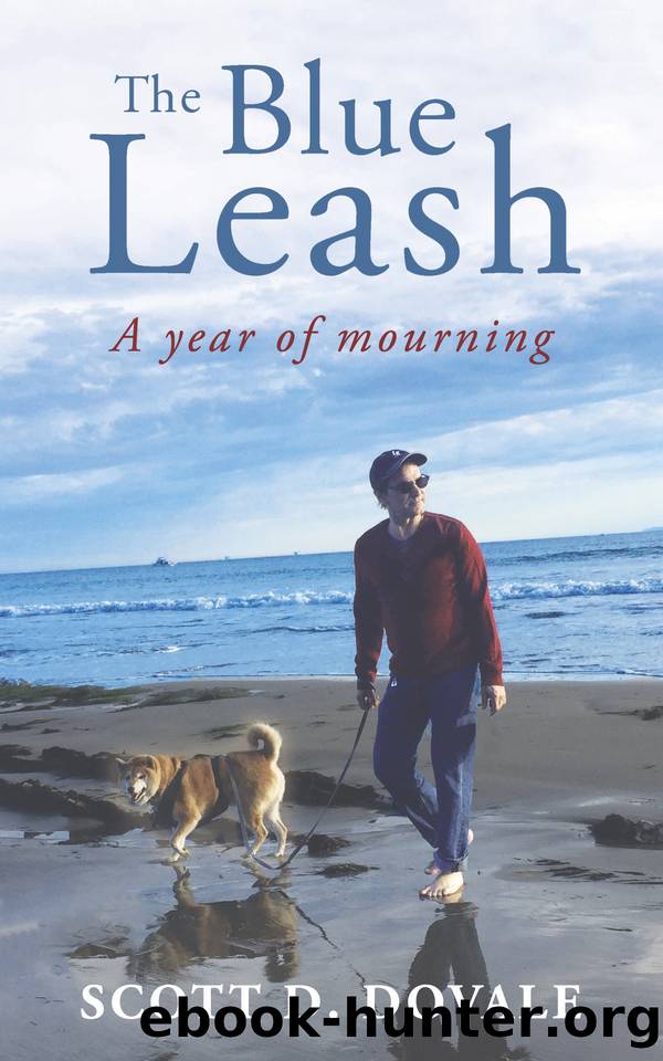 The Blue Leash: A Year of Mourning by Dovale Scott