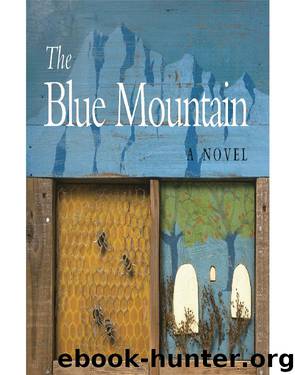 The Blue Mountain by Shalev Meir
