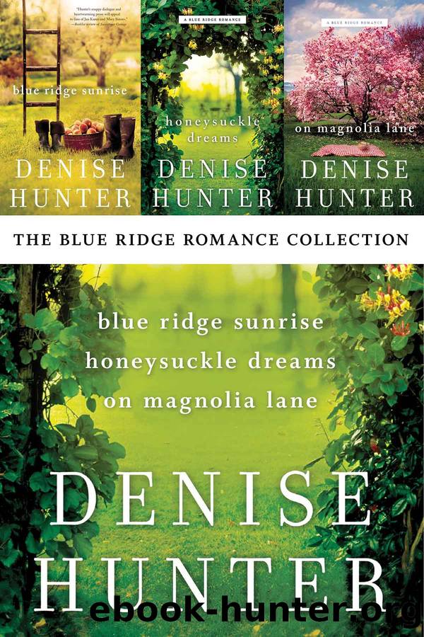 The Blue Ridge Romance Collection by Denise Hunter
