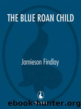The Blue Roan Child by Jamieson Findlay