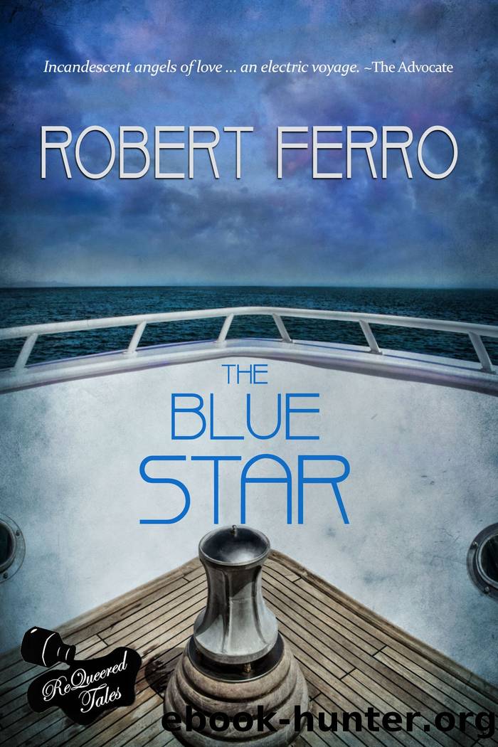 The Blue Star by Robert Ferro