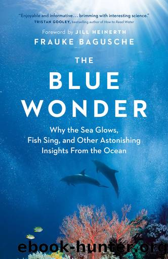 The Blue Wonder by Frauke Bagusche