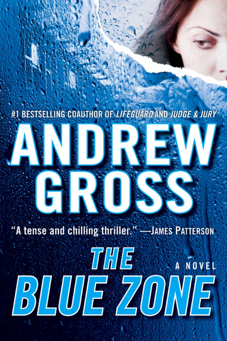 The Blue Zone by Andrew Gross