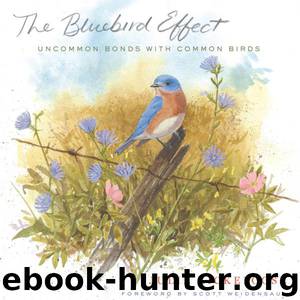 The Bluebird Effect: Uncommon Bonds With Common Birds by Julie Zickefoose