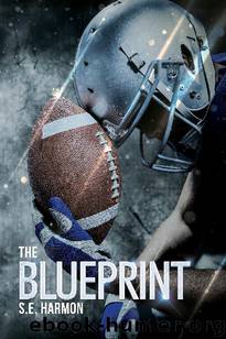 The Blueprint by S.E. Harmon