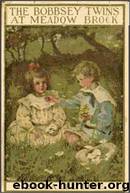 The Bobbsey Twins at Meadow Brook by Laura Lee Hope