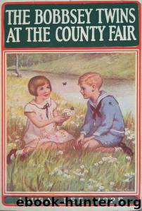 The Bobbsey Twins at the County Fair by Laura Lee Hope