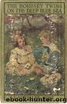 The Bobbsey Twins on the Deep Blue Sea by Laura Lee Hope