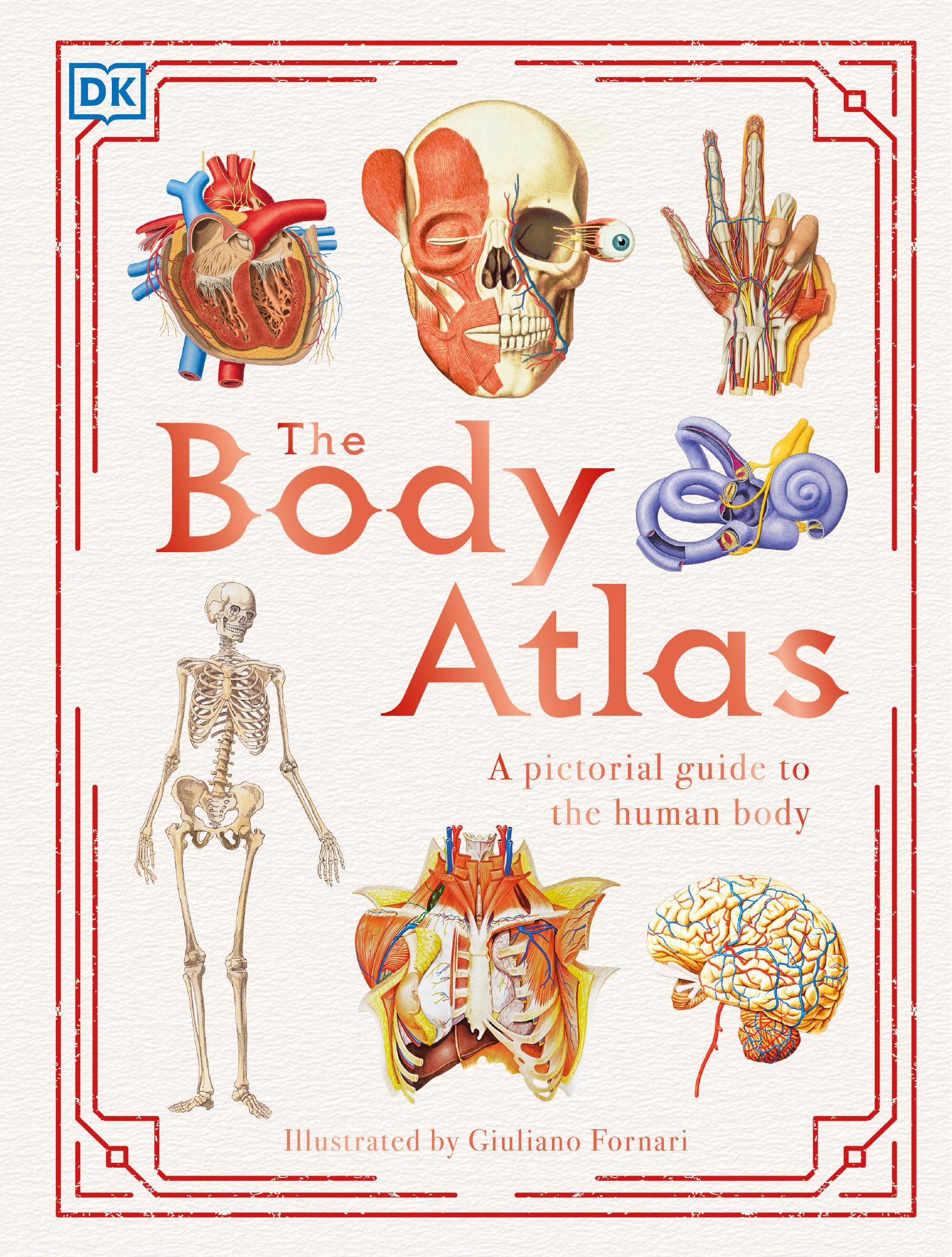 The Body Atlas: A Pictorial Guide to the Human Body by Dorling Kindersley