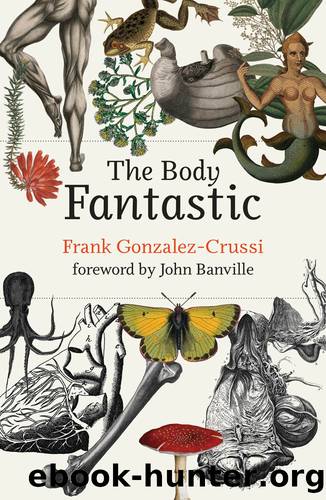 The Body Fantastic by Frank Gonzalez-Crussi