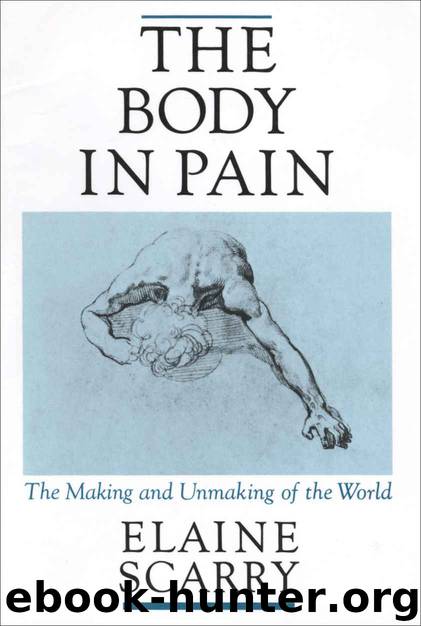 The Body in Pain by Elaine Scarry