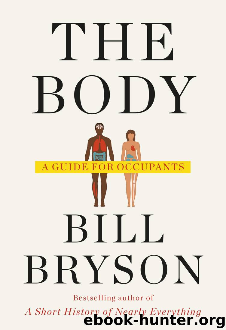 The Body: A Guide for Occupants by Bill Bryson