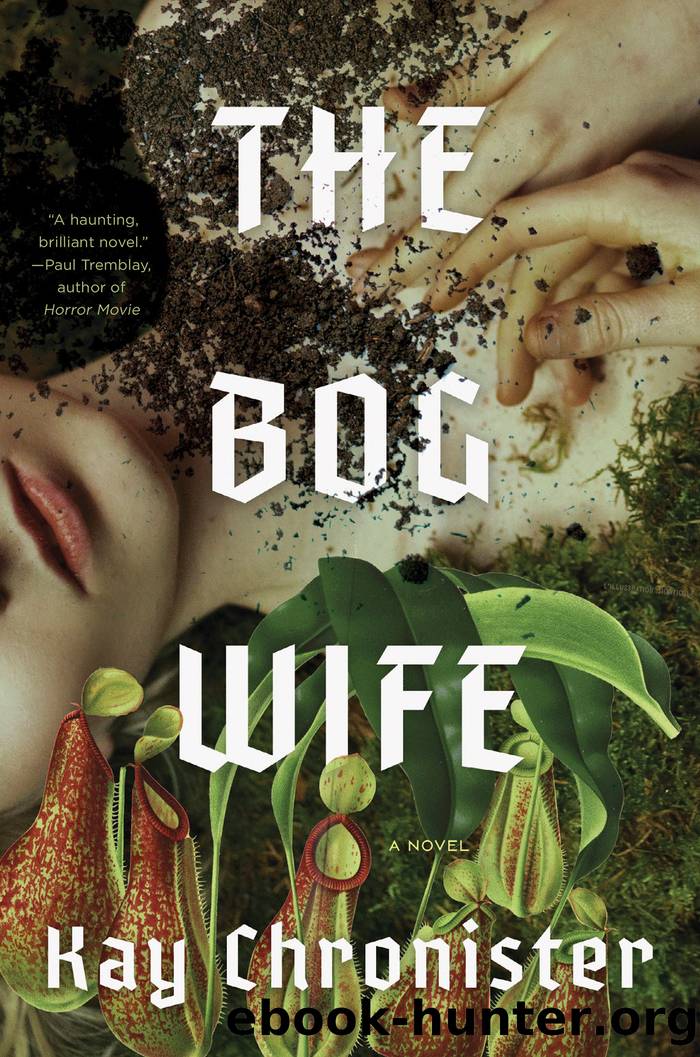 The Bog Wife by Kay Chronister