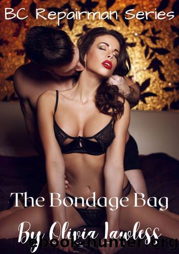 The Bondage Bag (BC Repair Man Book 3) by Olivia Lawless