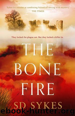 The Bone Fire by S D Sykes