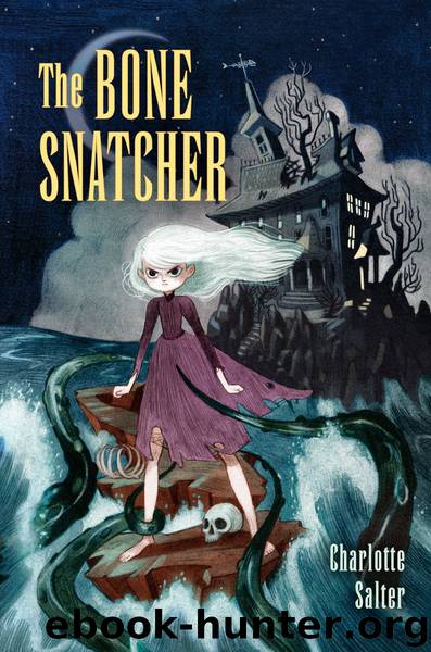 The Bone Snatcher by Charlotte Salter