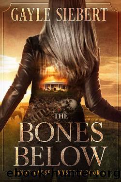 The Bones Below: A Lindy Larsen Mystery by Gayle Siebert