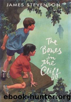 The Bones in the Cliff by James Stevenson