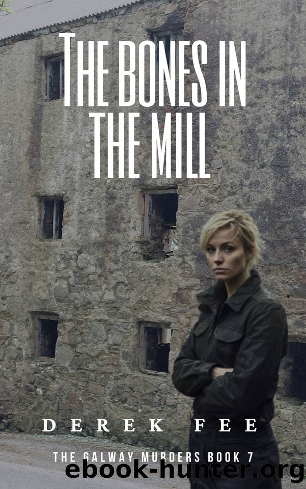 The Bones in the Mill: A Galway Murders Mystery (The Galway Murders Book 7) by Fee Derek