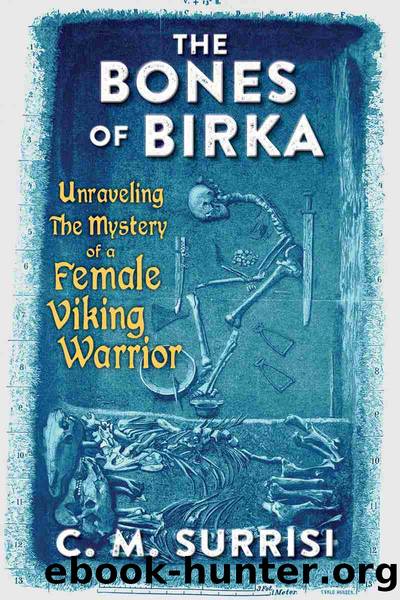 The Bones of Birka by C.M. Surrisi