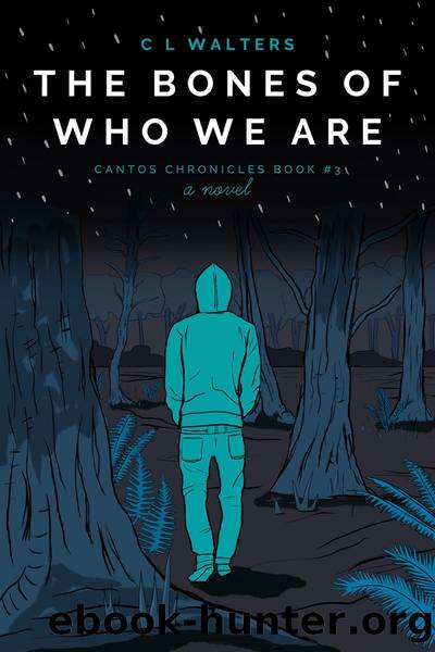 The Bones of Who We Are by CL Walters